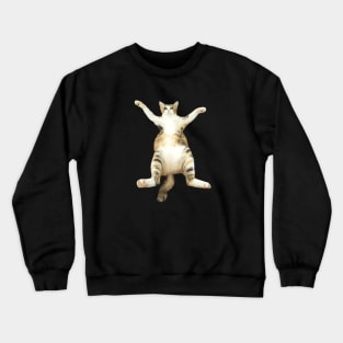 Kitty With Open Arms Crewneck Sweatshirt